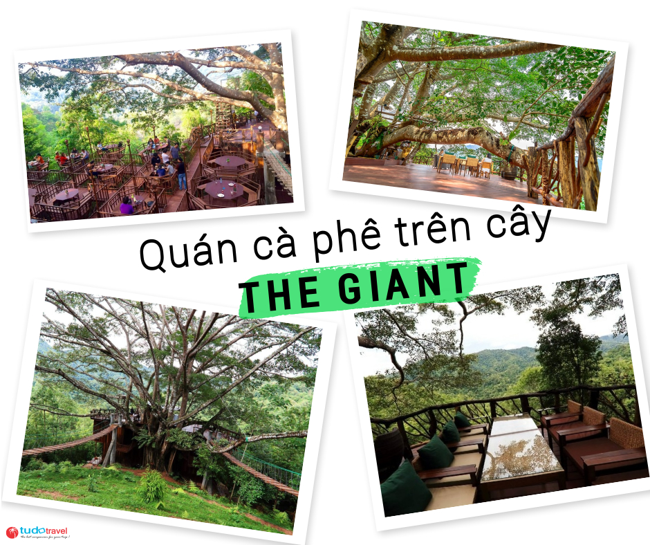 the giant chiang mai