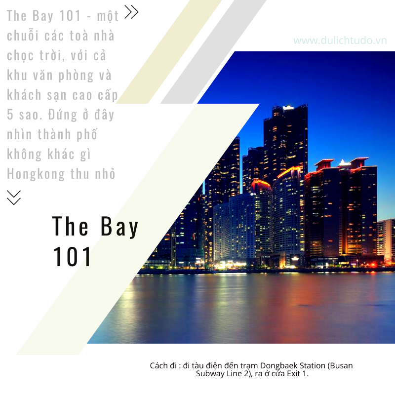 the bay 101