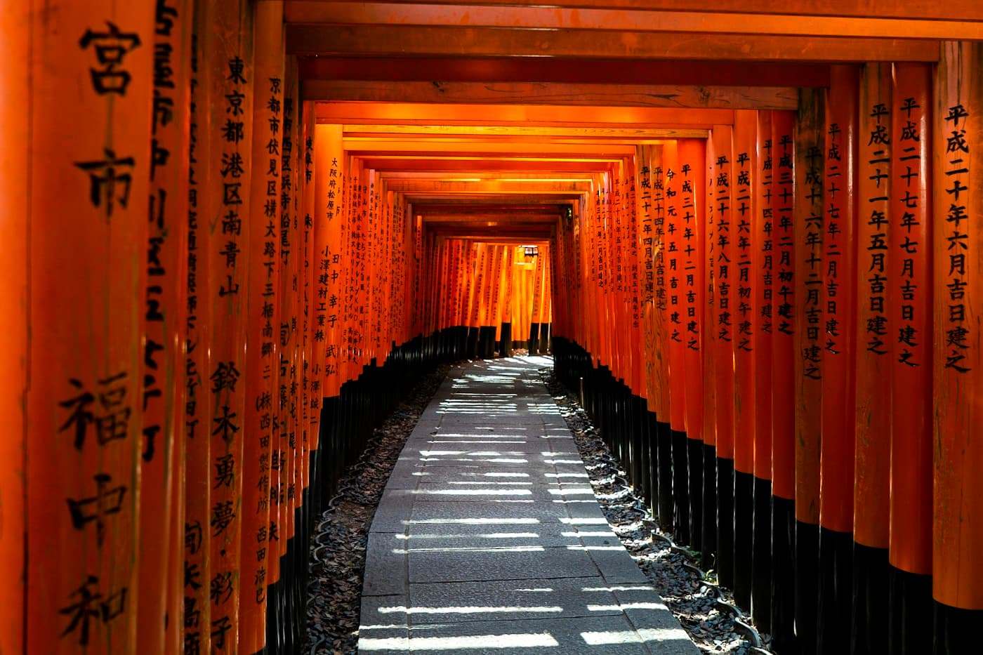 Lối đi dưới hàng cổng torii đỏ ở Kyoto, Nhật Bản